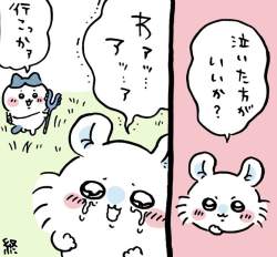 119512 B