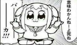 24337 B