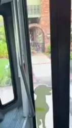 3360229 B