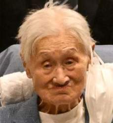 23384 B