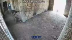 2692125 B