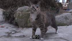 58378 B
