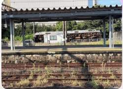 247239 B