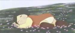 44435 B
