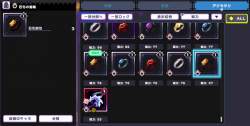 246491 B