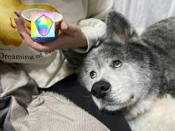 733871 B