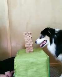 2485558 B