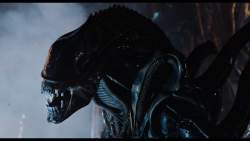 83415 B