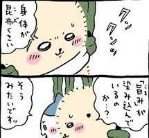 15056 B