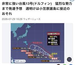 202982 B