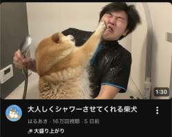67539 B
