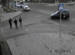 1028239 B