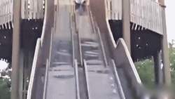 3005336 B