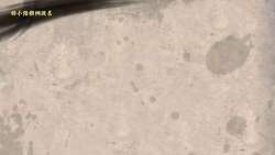 4639507 B