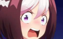87313 B