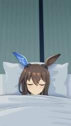 3645194 B