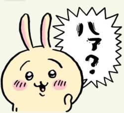42003 B