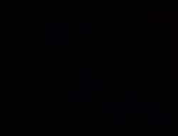 8120828 B