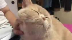 629397 B