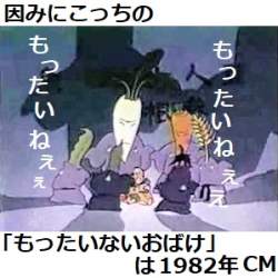 43691 B