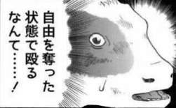 11594 B