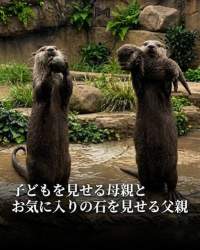 44762 B
