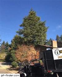 6827107 B