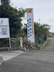 1072655 B
