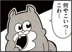 27356 B