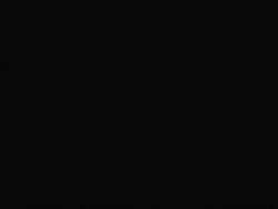 8143163 B