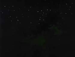 8128558 B