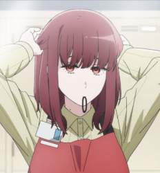 49253 B