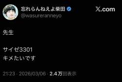 49984 B