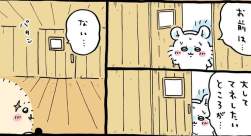 55429 B