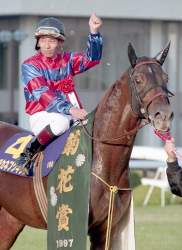 1073145 B
