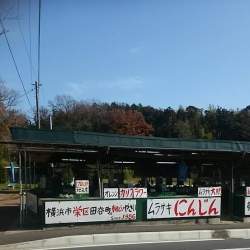 37433 B