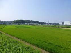183419 B