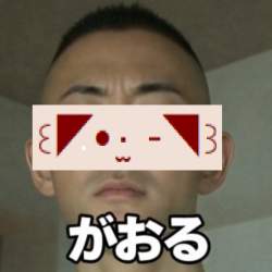904933 B