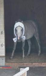 111273 B