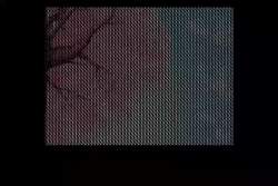 7823809 B