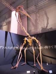 667248 B