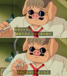 49088 B