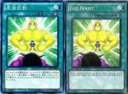 44321 B