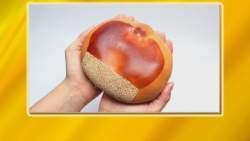 21778 B