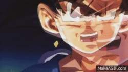 1233661 B