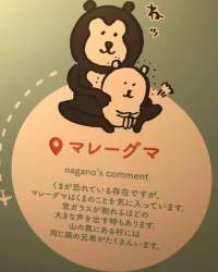 33296 B