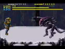 5520645 B