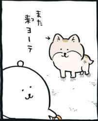 47429 B