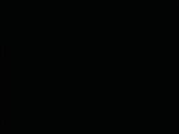 4499331 B
