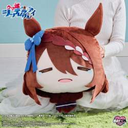 73683 B
